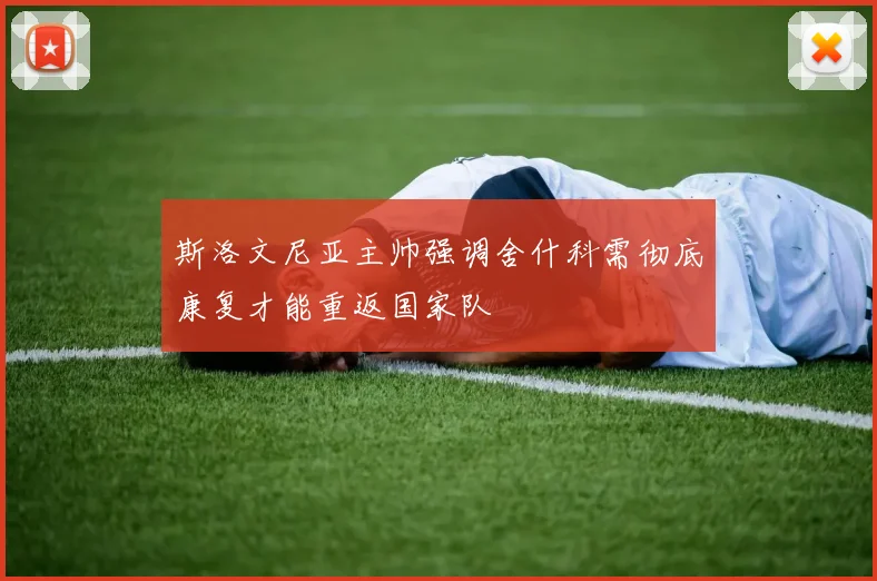 斯洛文尼亚主帅强调舍什科需彻底康复才能重返国家队