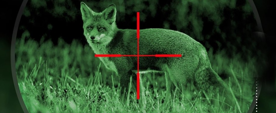 Why Should You Buy a Scope for Night Hunting Coyotes?