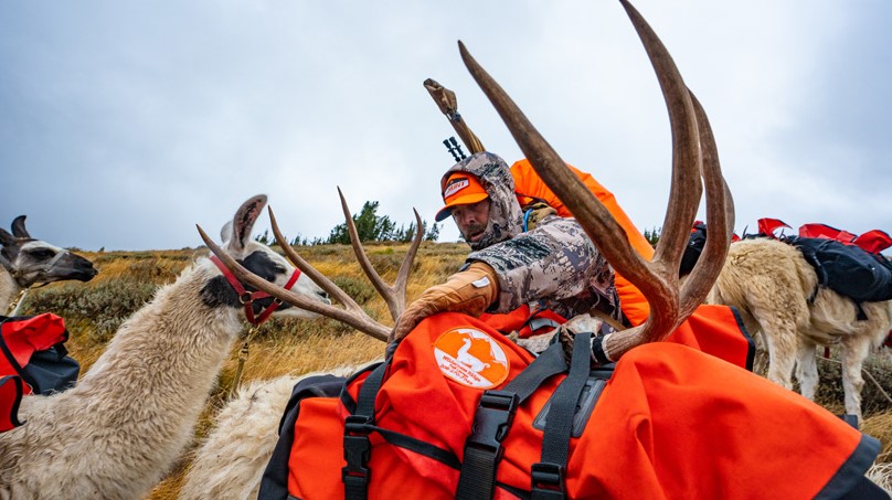 Deer Hunting Allows Hunters to Travel