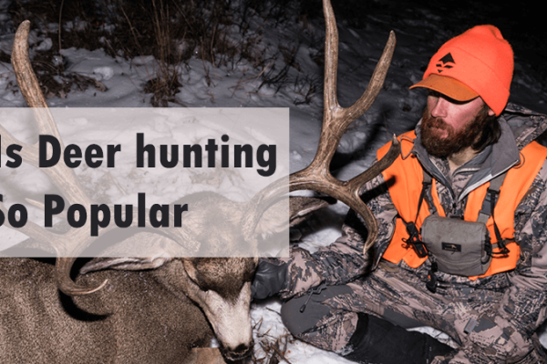 The Reasons Why Is Deer hunting So Popular